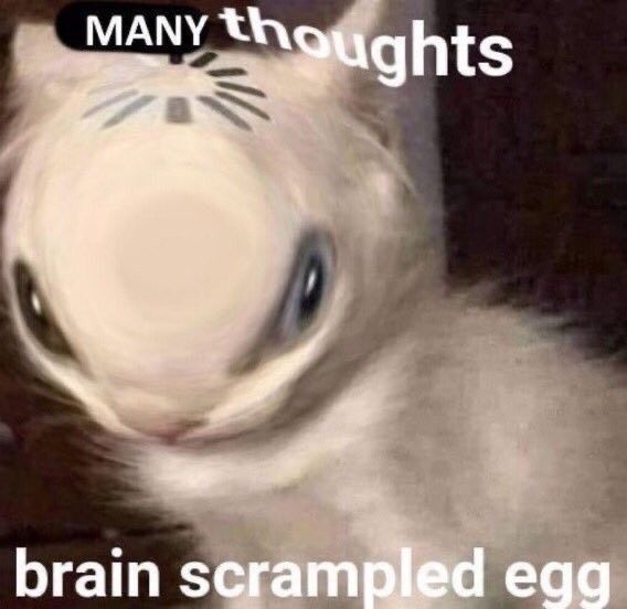 many thought brain scrambled egg